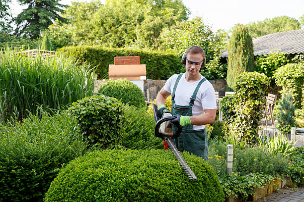 Best Landscape Design and Installation  in Wallingford Center, CT